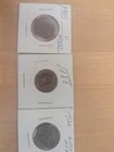 Starter  Collection  Mix Lot of  3 1920 Buffalo, 1905 V Nickel,1888 Indian Cent