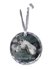 Holsteiner Horse - Crystal Ball With A Photo, Horse Photo In Crystal, Persona