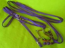 COMPLETE Very NICE Double Stitched PURPLE Nylon Western Bridle Set~Reins~Bit