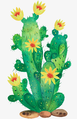 6  Vinyl Sticker Colorful Green Cactus Plant Rocks Hot Dry Prickly Sand Flower