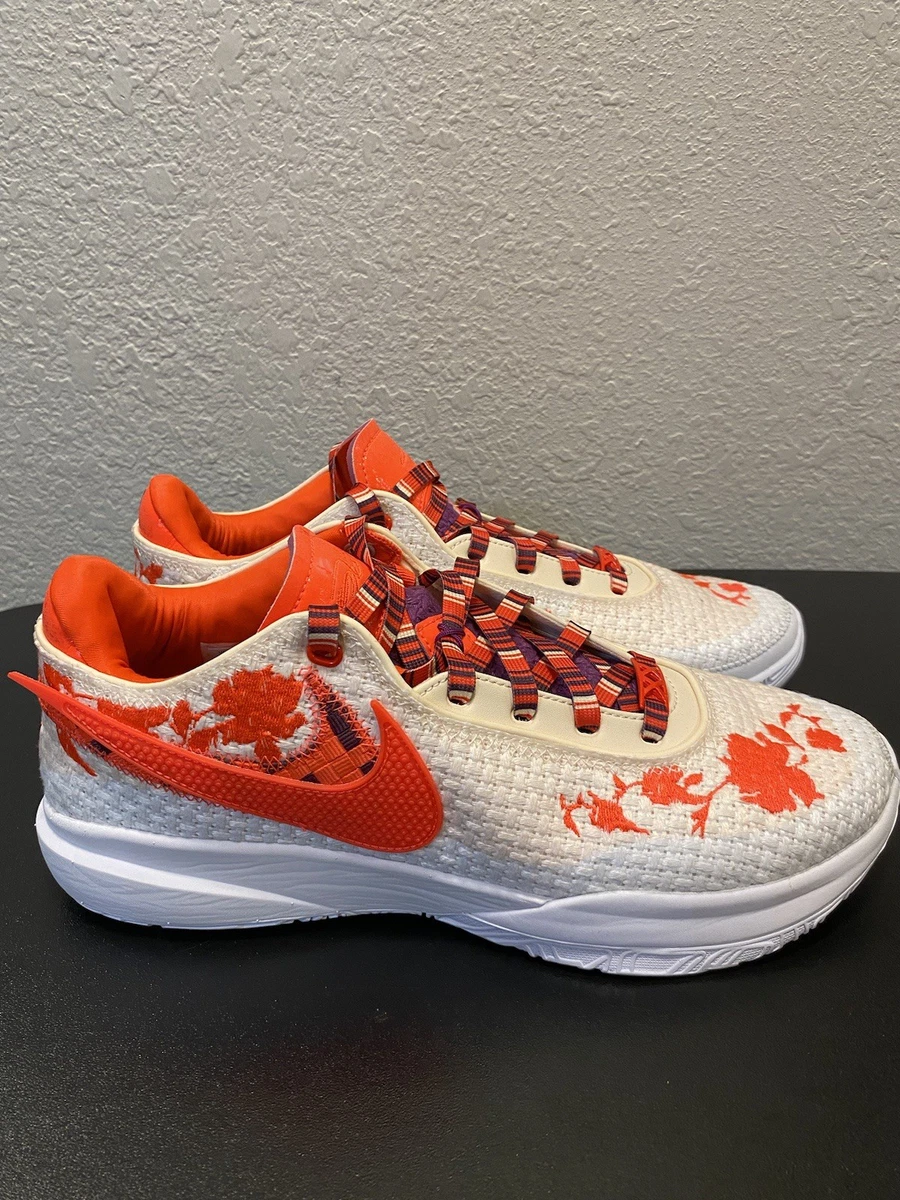 Mimi Plange x Nike LeBron 20 Premium EP Ceremony for Sale