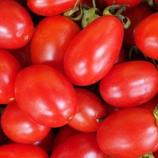 50+ Roma Tomato Seeds Heirloom Non-GMO Free Shipping #41
