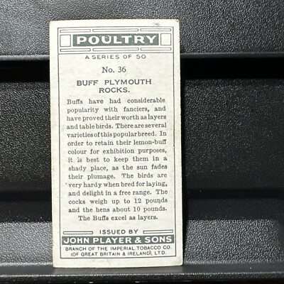 buff cigarette 1931 Player's Cigarettes Poultry #36 Buff Plymouth Rocks