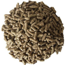 Schildkr&ouml;ten Futter Sticks Natur 2kg - Futtersticks Schildkr&ouml;tensticks Reptilien