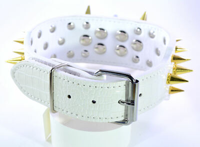 Collare In Pelle Con Borchie A Punta Per Cane Pitbull Rottweiler DOG COLLAR M-XL