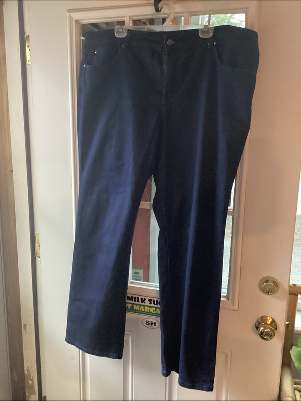 Charter Club Womens Plus 22W Blue Dark Wash Lexington Straight Leg Jean Shop