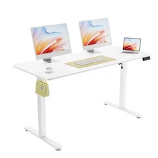 55" Electric Standing Desk, Adjustable Height, Sit Stand Up Desk for Home Off...