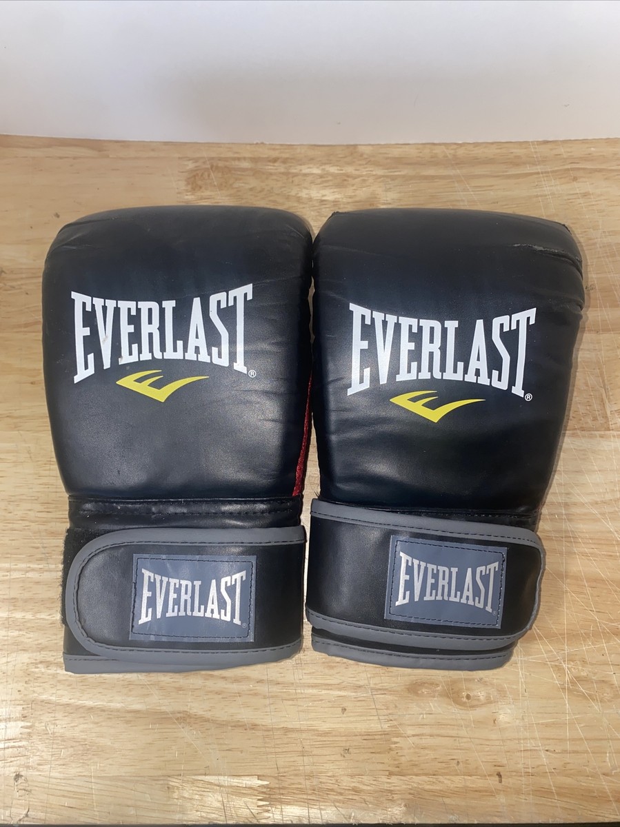 エバーラスト　パワーロック14オンス Everlast PowerLock Training Boxing Gloves 14/16oz Red