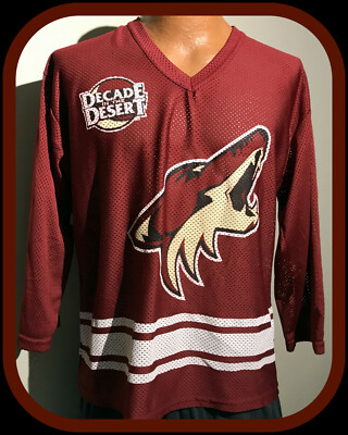 ED JOVANOVSKI PHOENIX COYOTE SGA DECADE IN THE DESERT JERSEY YOUTH MEDIUM OR XL