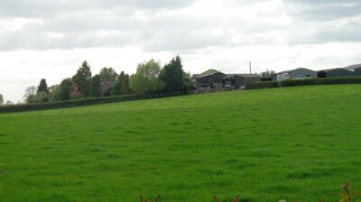 Photo 6x4 Bank Farm Bockleton Grassland between Bank Farm and the road ...