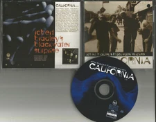 ROBERT BRADLEY’S BLACKWATER SURPRISE California 1996 USA PROMO DJ CD single 