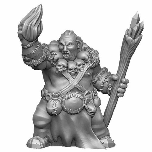 Ogre D&D Onmioji 28mm 32mm multi listing - Picture 5 of 13