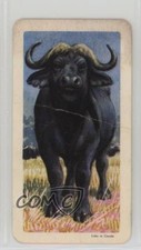 1964 Brooke Bond Red Rose African Animals Tea Canadian Black Back Buffalo 0j8f