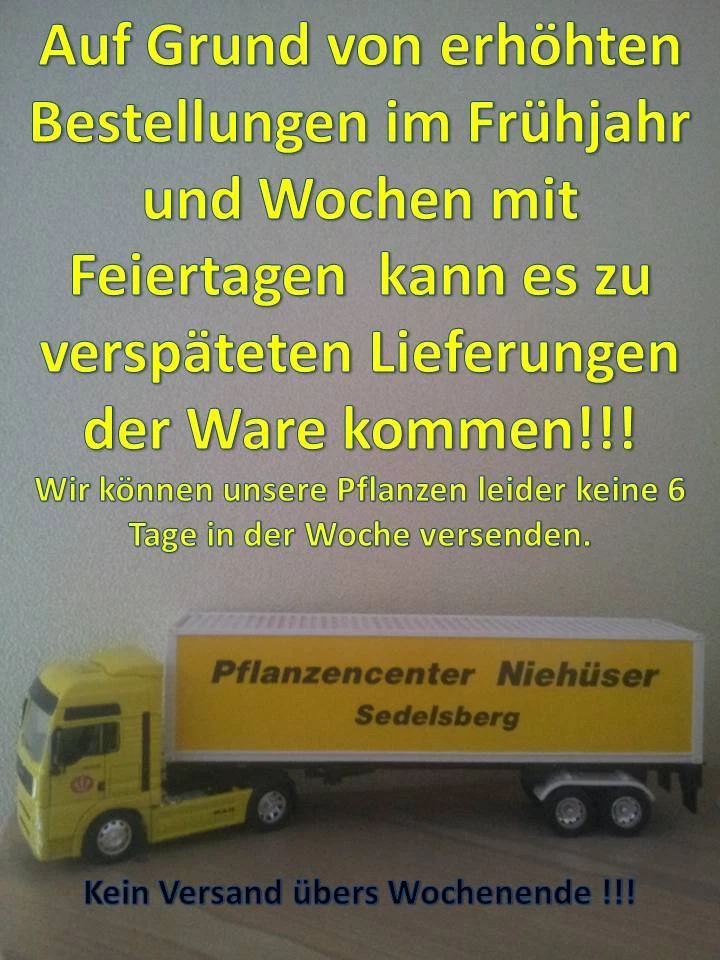 Bild 2 von 2