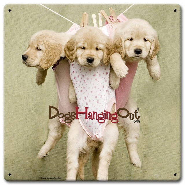DOGS HANGING OUT ON CLOTHESLINE 12" HEAVY DUTY USA MADE METAL