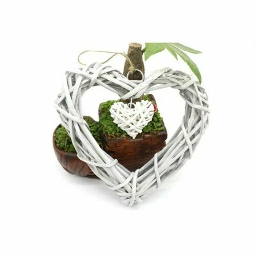 Fiori secchi e piante finte in legno per la decorazione della casa