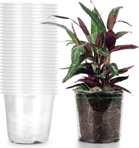 30 Pack 1 Gallon Pots with Drainage Holes, 7 Inch Clear Nursery pots