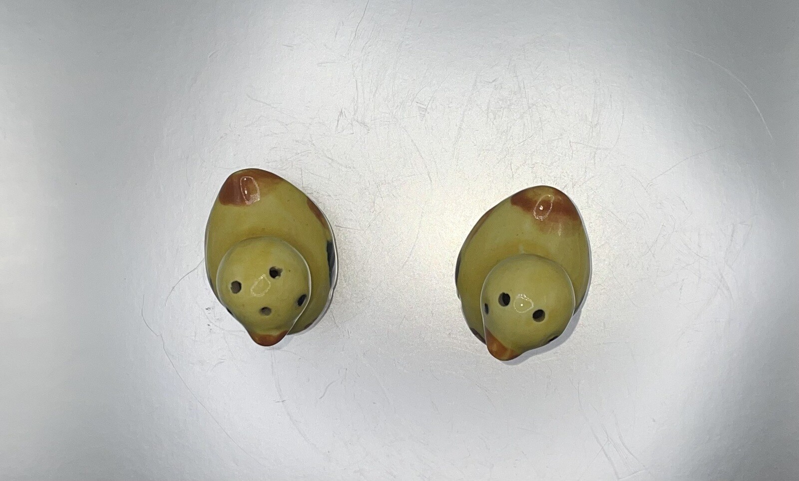 Foto 5 di 6