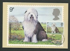 GB UK MK 1979 DOGS SHEEPDOG CARTE MAXIMUM CARD MC CM d6278
