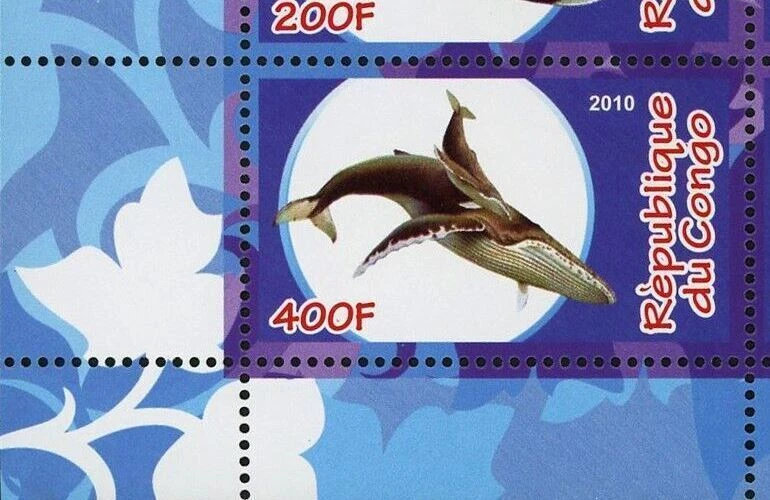 Estampilla de ballena de cetáceo océano fauna vida marina recuerdo hoja de 4 estampillas como nueva casi nueva Foto 4 de 4