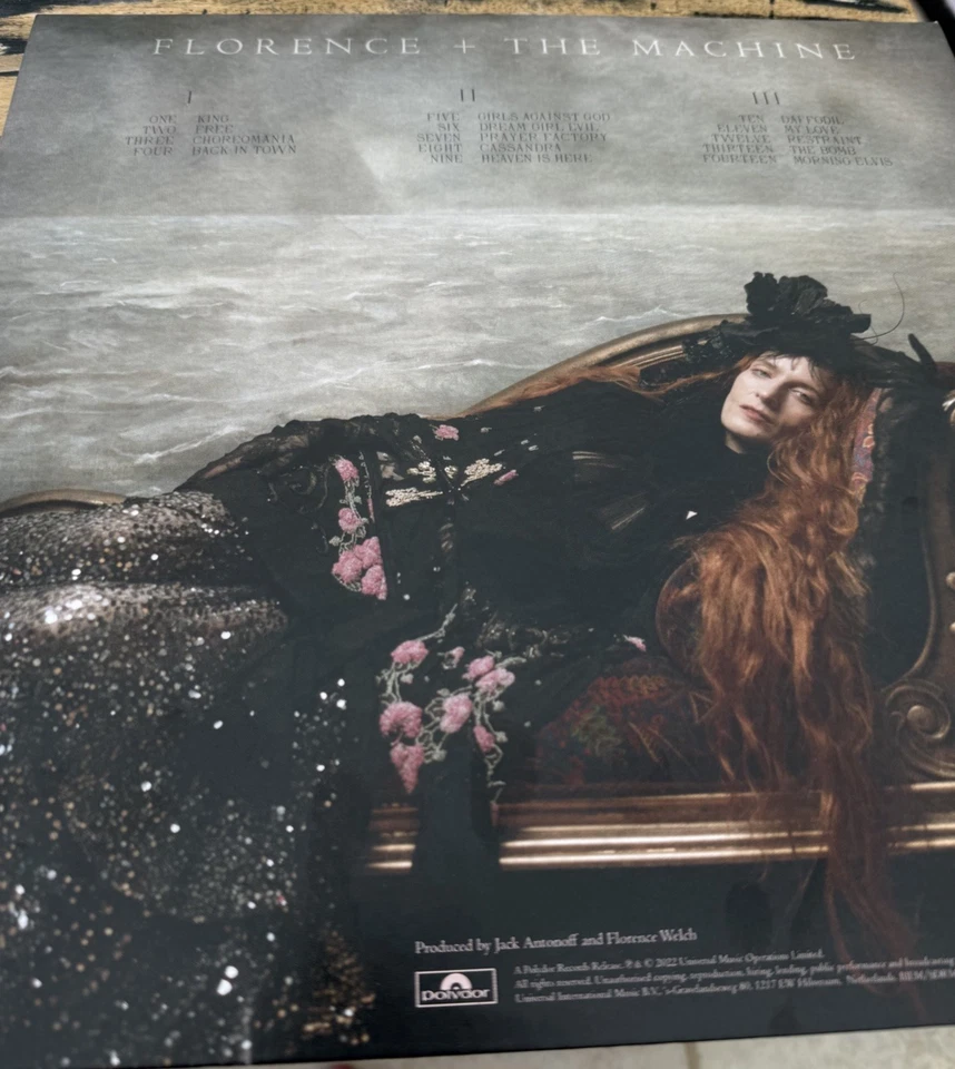 FLORENCE + THE MACHINE-2 LP PICTURE DISC EDITION-Mint - Image 3 of 4