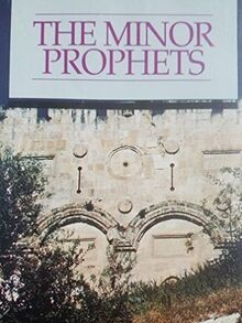 The Minor Prophets (An Emmaus Correspondence Course, Mes... | Buch | Zustand gut