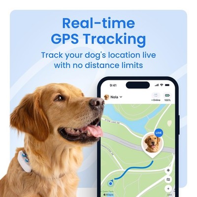 Tracker Gps Antipérdida Weenect Xs Para Mascotas con Ofertas en