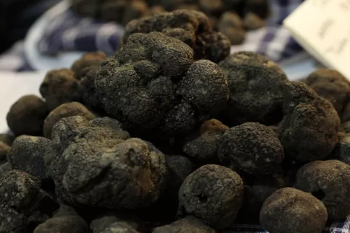Precious Italian fresh black truffles. Black truffle 165g. 5.8 oz. Mushrooms.