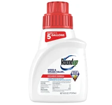 Roundup Weed/Grass Killer Concentrate Makes 5 Gallons - 16 fl. oz.