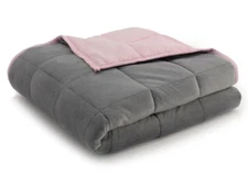 Ella Jayne Home 20lb Reversible Weighted Blanket Grey Microfiber Pink 48" x 72"