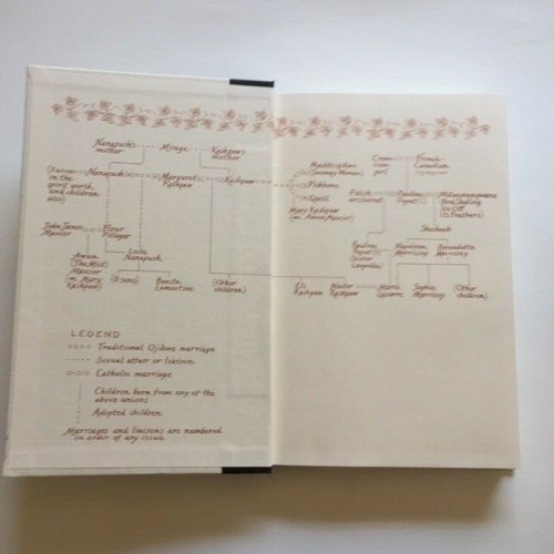 THE LAST REPORT ON THE MIRACLES AT LITTLE NO HORSE - 1ST. ED. BY LOUISE ERDRICH - Picture 6 of 6