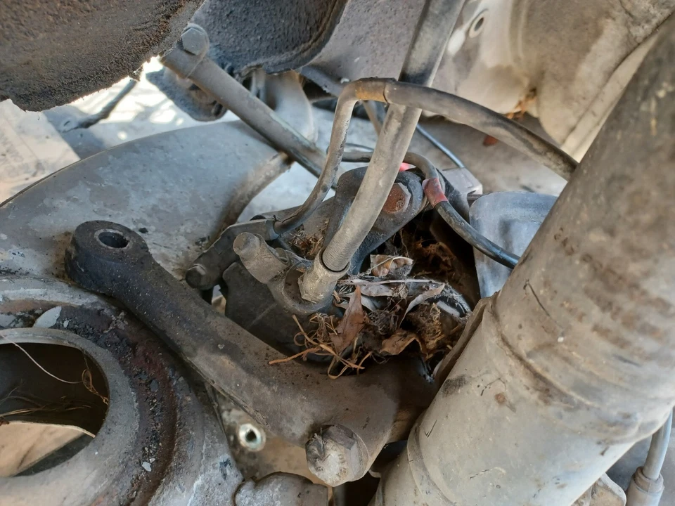 87-93 MERCEDES BENZ CLASE E SEDÁN W124 300TD HUSILLO NUDILLO DELANTERO IZQUIERDO OEM Foto 4 de 4