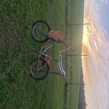 1976 Liberty belle bicentennial 