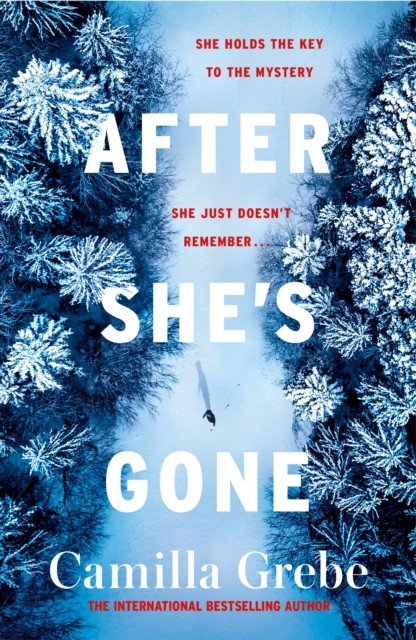 After She's Gone by Camilla Grebe PAPERBACK 9781785764738