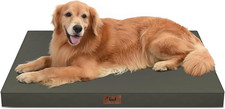 Outdoor All Weather XL Dog Bed, Waterproof Dog Bed for Extra Large Dogs, Orthope