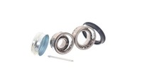 Radlagersatz FÜR Audi 100 C3 Stufenheck (443, 444) - SKF Vkba 542