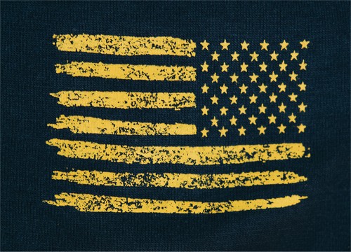 Navy Blue America's NAVY T-Shirt USA Flag Physical Training PT Workout Wet Tee - 第 5/5 張圖片