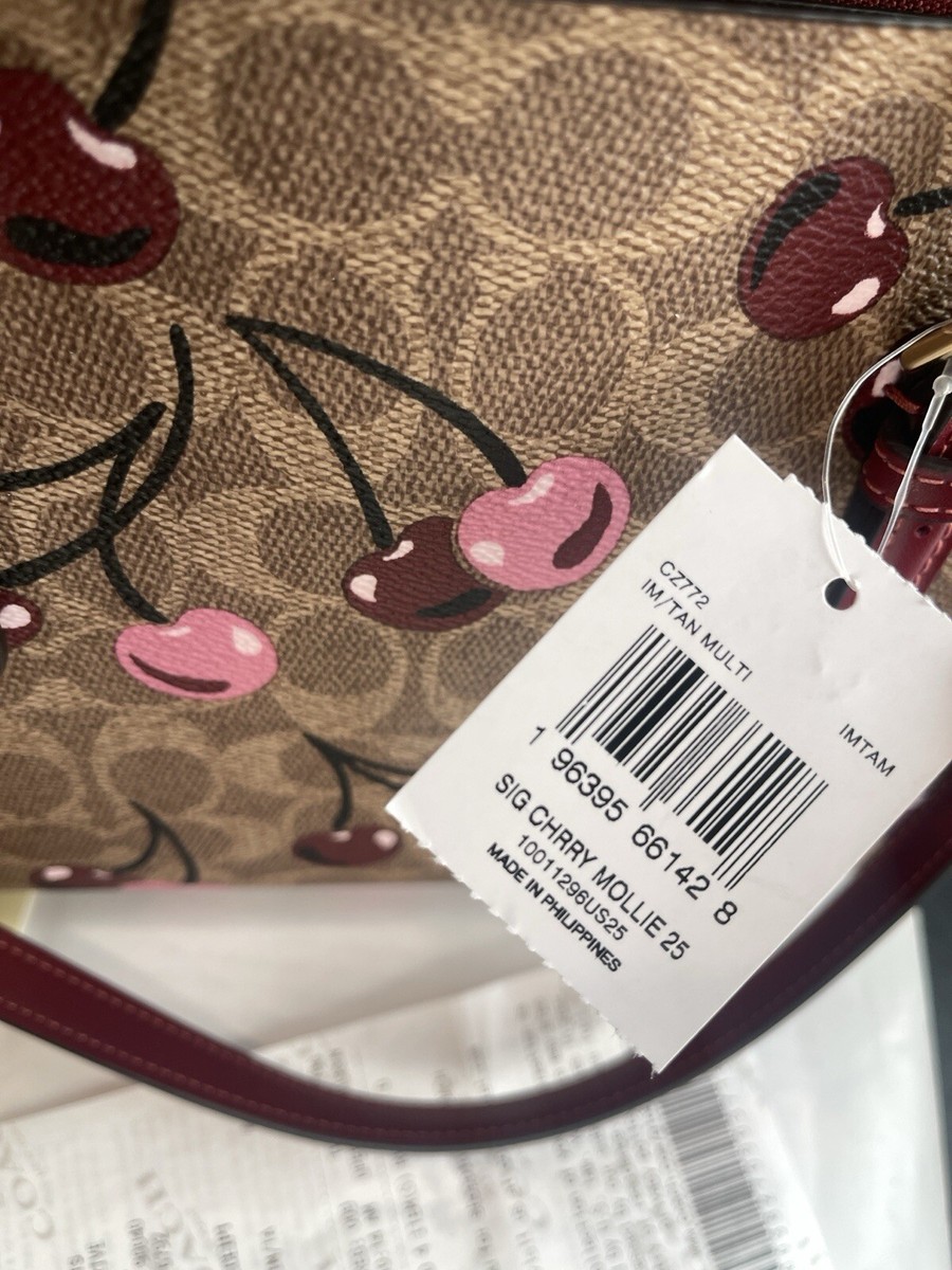 COACH モリートート　タグ付き COACH® Outlet | Mollie Tote Bag 25 In Signature Canvas With