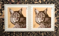 2015USA #4672a 1c Bobcat - Coil Pair  Mint  NH    self adhesive  .01 cent