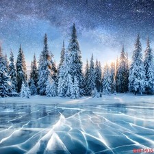 10'x10'Computer-painted Forest Snowy Sunset Scenic background backdrop BHF1935