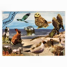 AK Egmond aan Zee (Niederlande) Tiere im Wasser, an Land und in der Luft
