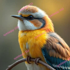 Bird Digital Image Picture Photo Wallpaper Background Desktop AI Art Nature