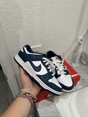 Size 9 - Nike Dunk Low Velarian Blue/White