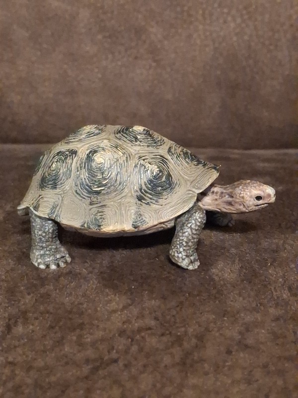 Schleich Galapagos Tortoise Figurine Wildlife Reptile Turtle Retired 2008 Toy