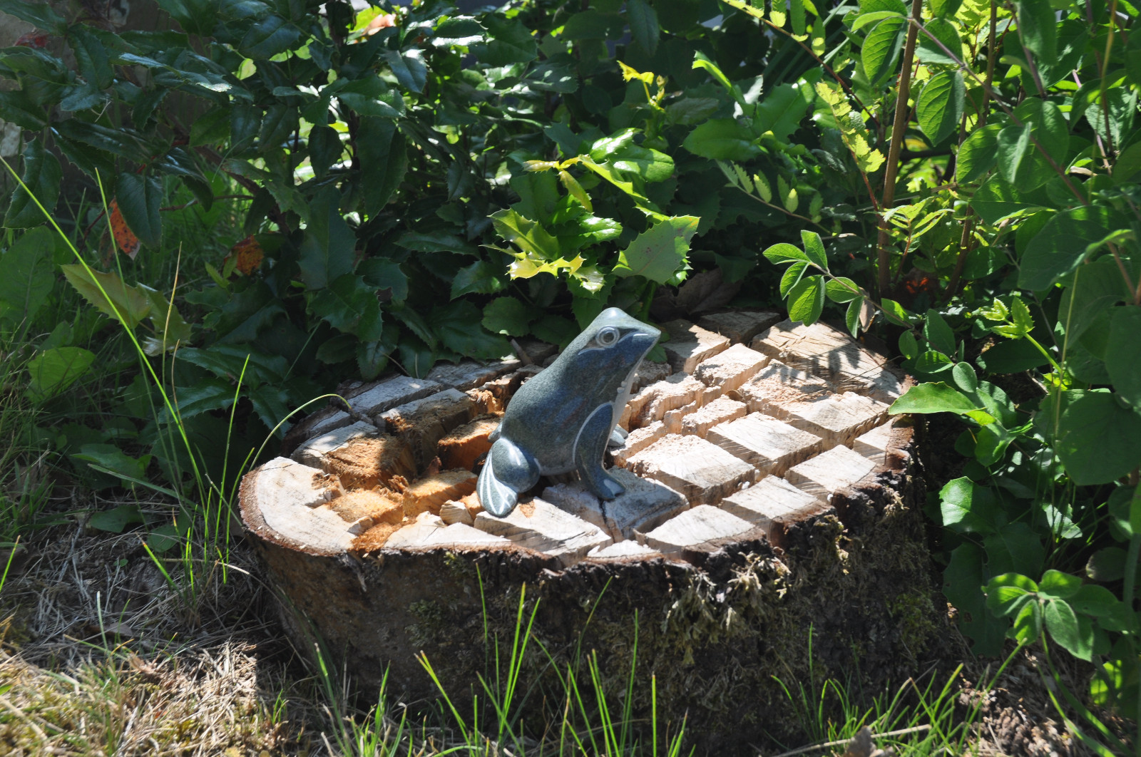 Vivid Arts Frosch Auf Lilienblock – Kunstharz-Dekofigur Für Garten Oder Haus, 19x19x8,3 Cm