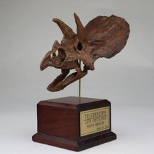 Triceratops Skull Dinosaur Statue Painted Model Display Collectible Figure