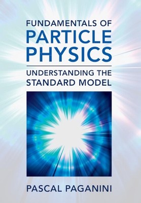 Grundlagen der Teilchenphysik: Das Standardmodell verstehen von Pascal Pag