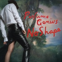 Perfume Genius - No Shape - Vinyl Record - E3447Z