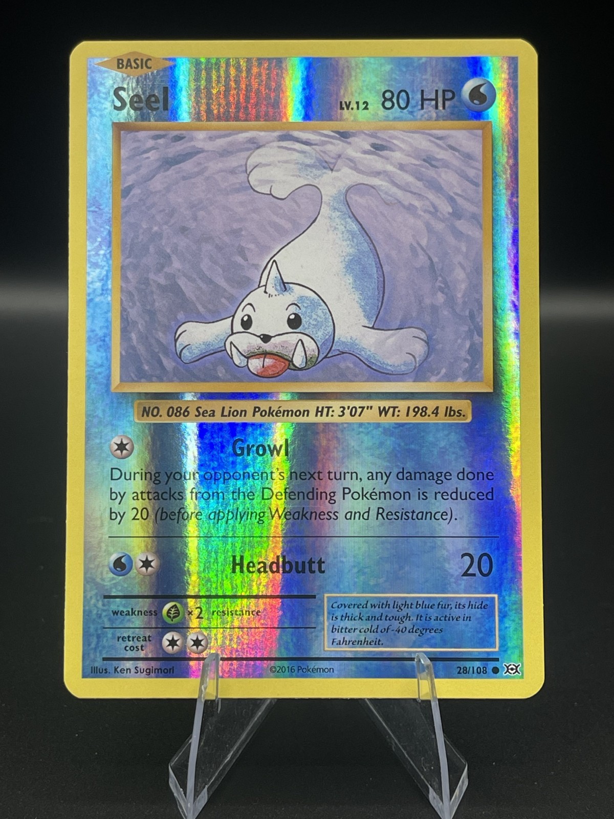 (NM) Seel 28/108 Reverse Holo XY Evolutions Pokemon TCG Card 319a-17
