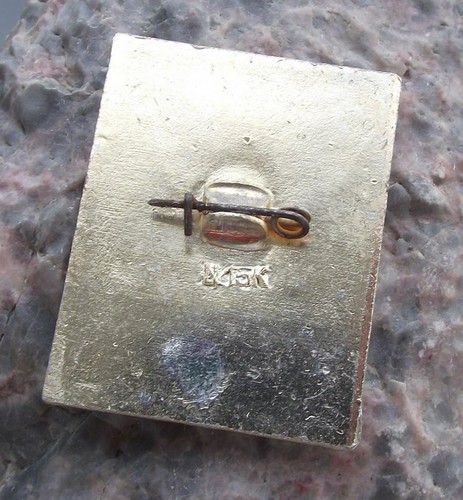 Vintage Georgian New Athos Cave System Novoafonskay Caverns Soviet Bat Pin Badge - Picture 2 of 2
